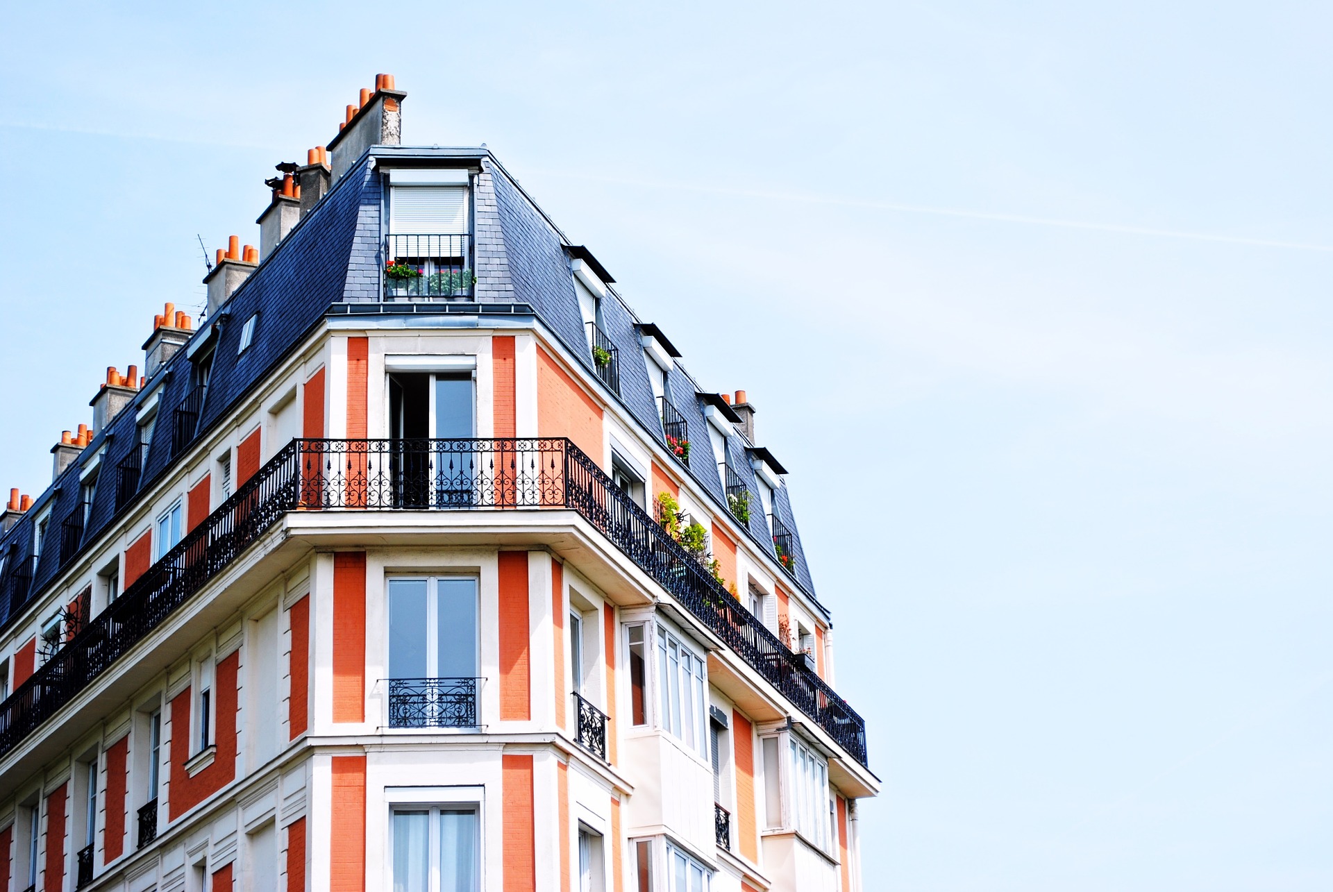 appartement infesté de cafards